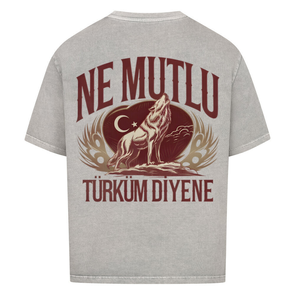 54f6bb5d-e69a-495a-b696-ca02bd0e61ae